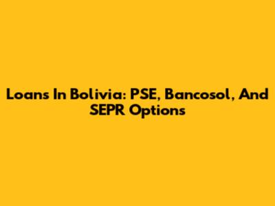 Loans In Bolivia: PSE, Bancosol, And SEPR Options