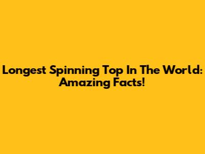Longest Spinning Top In The World: Amazing Facts!