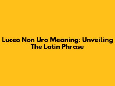 Luceo Non Uro Meaning: Unveiling The Latin Phrase