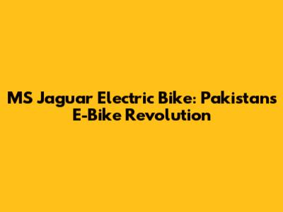 MS Jaguar Electric Bike: Pakistan's E-Bike Revolution
