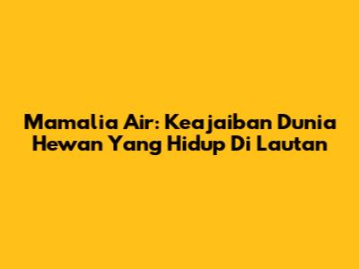 Mamalia Air: Keajaiban Dunia Hewan Yang Hidup Di Lautan