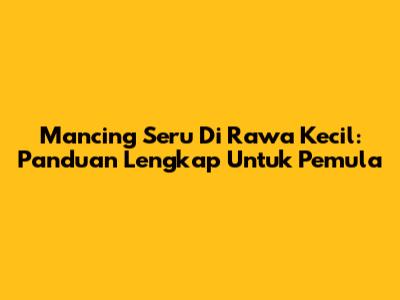 Mancing Seru Di Rawa Kecil: Panduan Lengkap Untuk Pemula