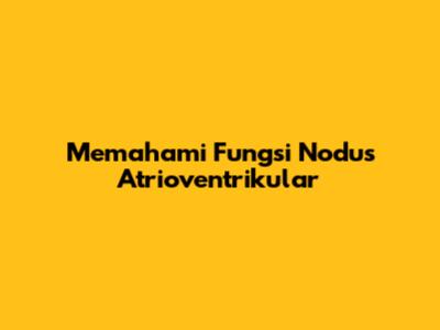 Memahami Fungsi Nodus Atrioventrikular