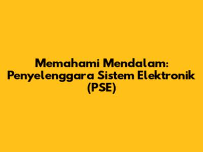 Memahami Mendalam: Penyelenggara Sistem Elektronik (PSE)