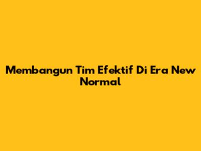 Membangun Tim Efektif Di Era New Normal