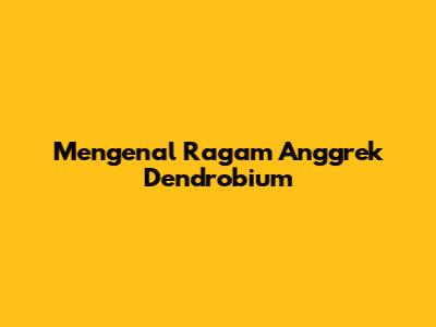 Mengenal Ragam Anggrek Dendrobium