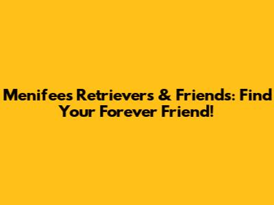 Menifee's Retrievers & Friends: Find Your Forever Friend!
