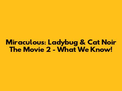 Miraculous: Ladybug & Cat Noir The Movie 2 - What We Know!