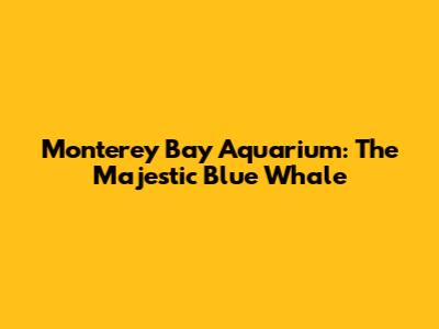 Monterey Bay Aquarium: The Majestic Blue Whale