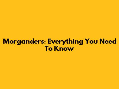 Morganders: Everything You Need To Know