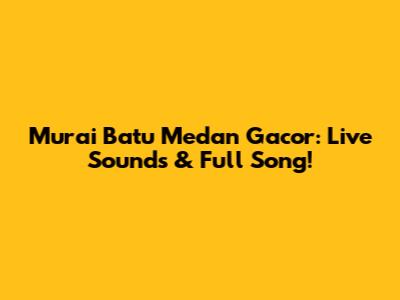 Murai Batu Medan Gacor: Live Sounds & Full Song!