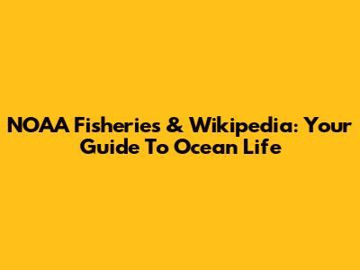 NOAA Fisheries & Wikipedia: Your Guide To Ocean Life