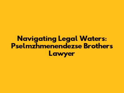Navigating Legal Waters: Pselmzhmenendezse Brothers' Lawyer