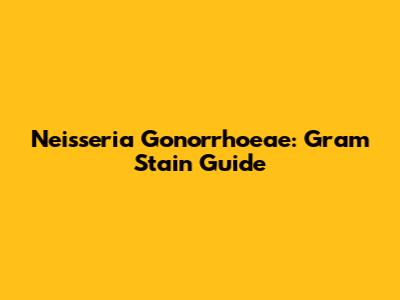 Neisseria Gonorrhoeae: Gram Stain Guide