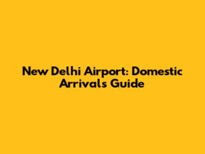 New Delhi Airport: Domestic Arrivals Guide