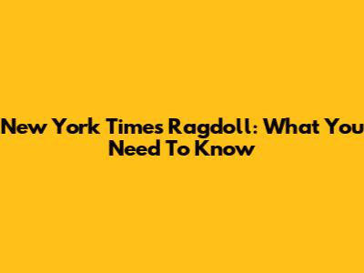 New York Times Ragdoll: What You Need To Know