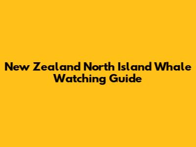 New Zealand North Island Whale Watching Guide