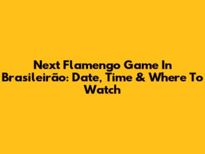 Next Flamengo Game In Brasileirão: Date, Time & Where To Watch