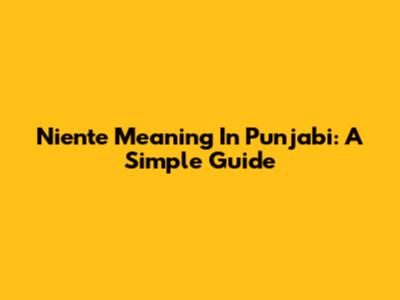 Niente Meaning In Punjabi: A Simple Guide