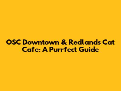 OSC Downtown & Redlands Cat Cafe: A Purrfect Guide