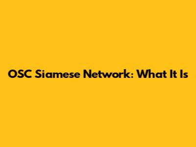 OSC Siamese Network: What It Is