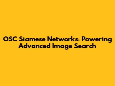 OSC Siamese Networks: Powering Advanced Image Search
