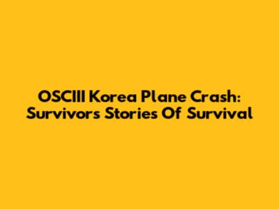 OSCIII Korea Plane Crash: Survivors' Stories Of Survival