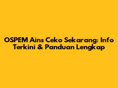 OSPEM Ains Ceko Sekarang: Info Terkini & Panduan Lengkap