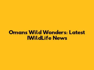 Oman's Wild Wonders: Latest IWildLife News