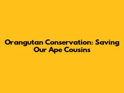 Orangutan Conservation: Saving Our Ape Cousins