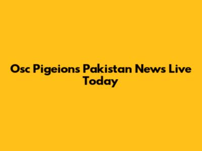 Osc Pigeions Pakistan News Live Today