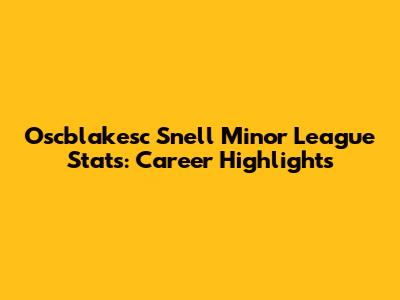 Oscblakesc Snell Minor League Stats: Career Highlights