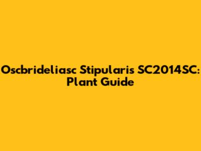 Oscbrideliasc Stipularis SC2014SC: Plant Guide