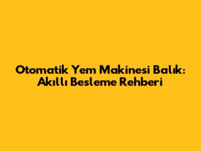 Otomatik Yem Makinesi Balık: Akıllı Besleme Rehberi