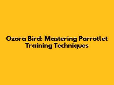 Ozora Bird: Mastering Parrotlet Training Techniques