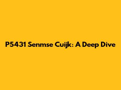 P5431 Senmse Cuijk: A Deep Dive