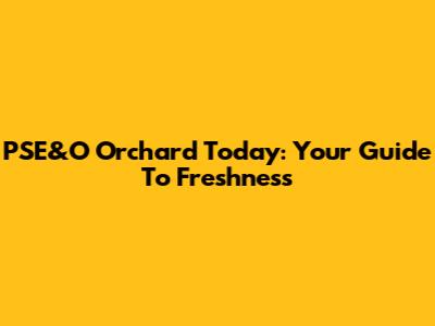 PSE&O Orchard Today: Your Guide To Freshness