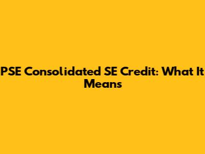 PSE Consolidated SE Credit: What It Means