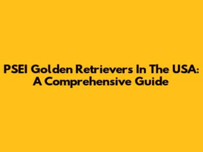 PSEI Golden Retrievers In The USA: A Comprehensive Guide