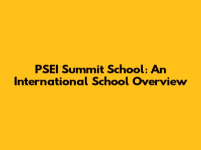 PSEI Summit School: An International School Overview