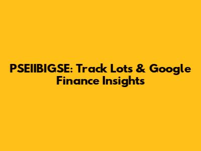 PSEIIBIGSE: Track Lots & Google Finance Insights
