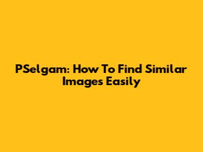 PSelgam: How To Find Similar Images Easily