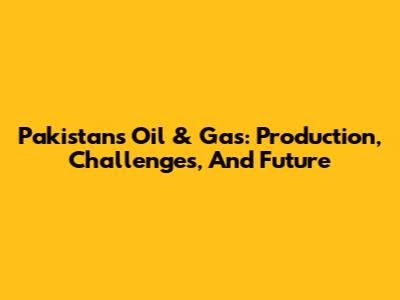Pakistan's Oil & Gas: Production, Challenges, And Future