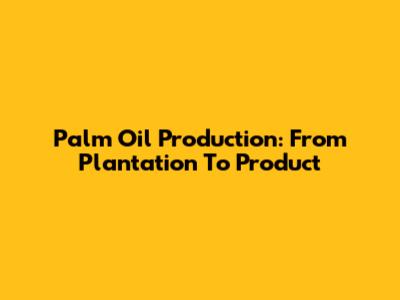Palm Oil Production: From Plantation To Product