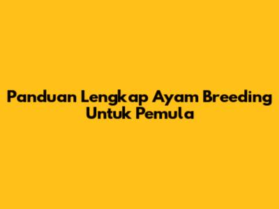 Panduan Lengkap Ayam Breeding Untuk Pemula