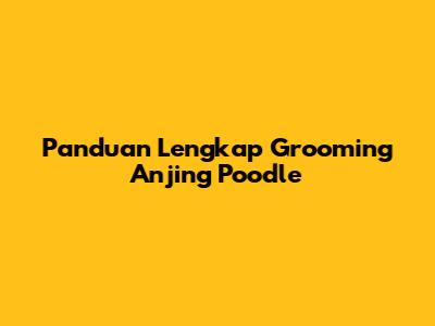 Panduan Lengkap Grooming Anjing Poodle