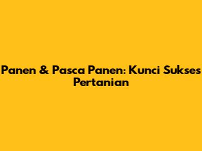 Panen & Pasca Panen: Kunci Sukses Pertanian