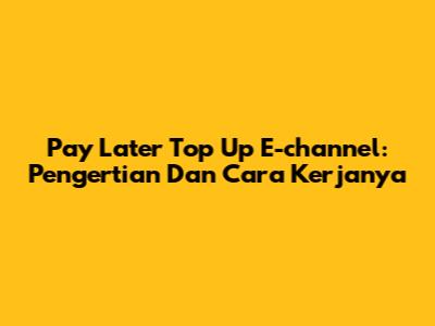 Pay Later Top Up E-channel: Pengertian Dan Cara Kerjanya