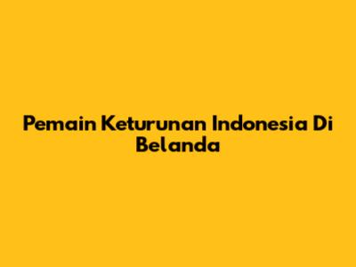 Pemain Keturunan Indonesia Di Belanda