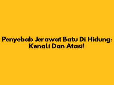 Penyebab Jerawat Batu Di Hidung: Kenali Dan Atasi!